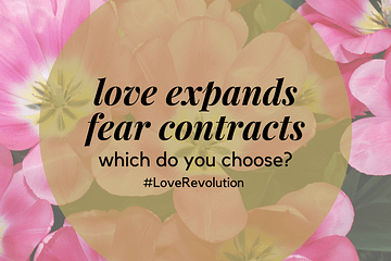ShaaniCreates - Love Expands