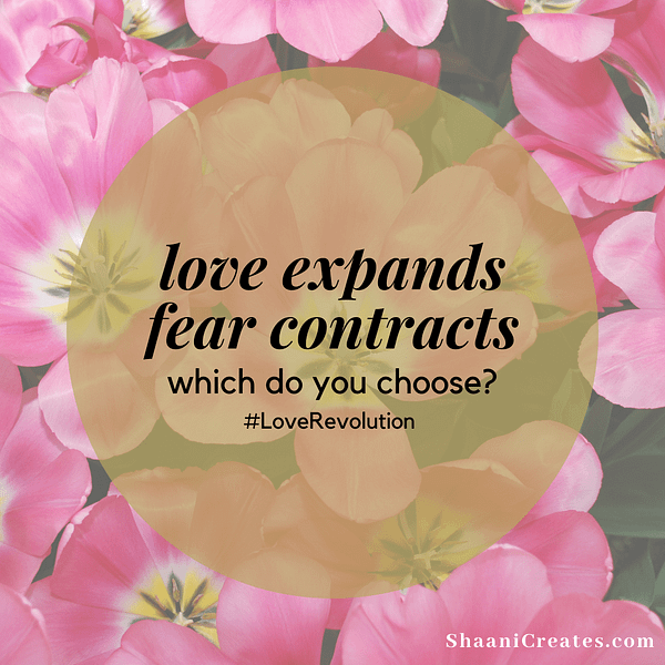 ShaaniCreates - Love Expands